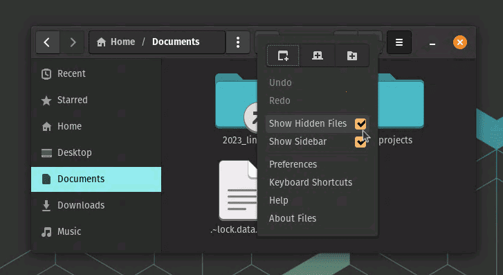showing hidden files from files on pop! os