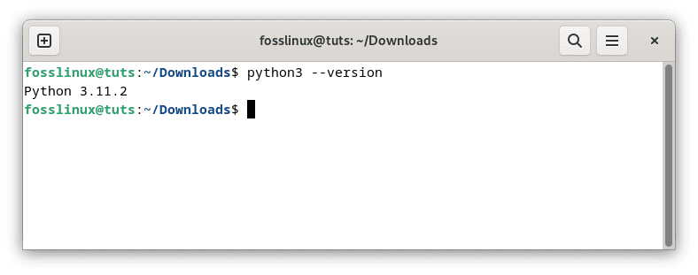 check installed python version