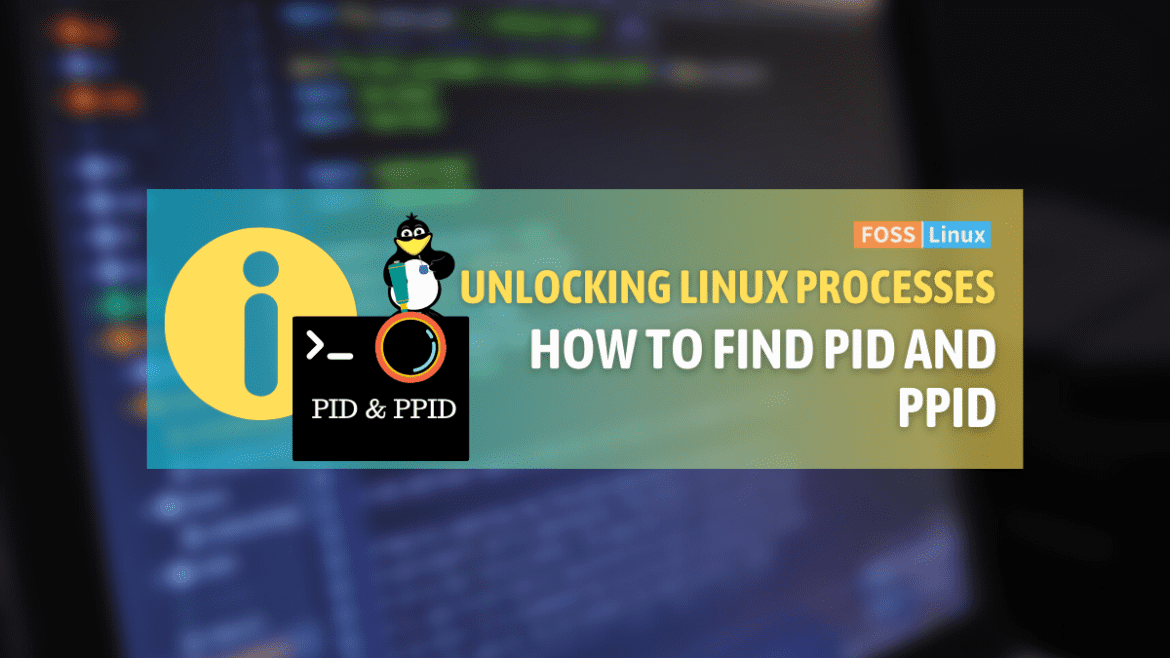 How to Find PID and PPID in Linux how to find pid and ppid in linux