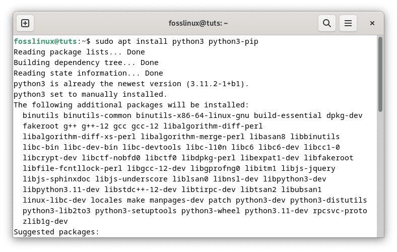 install python3 and pip