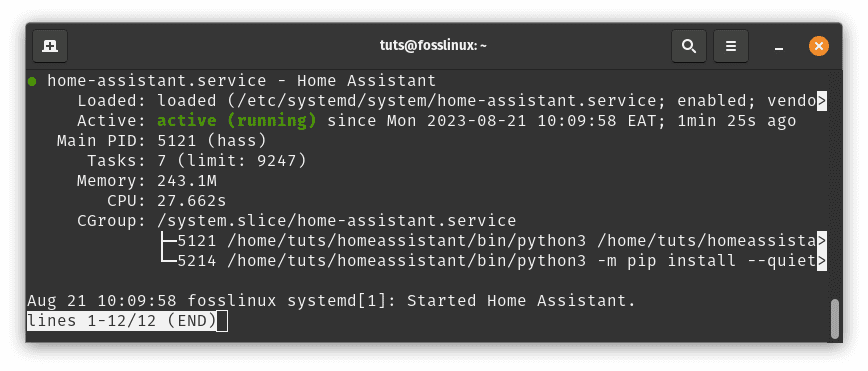 check home assistant service status