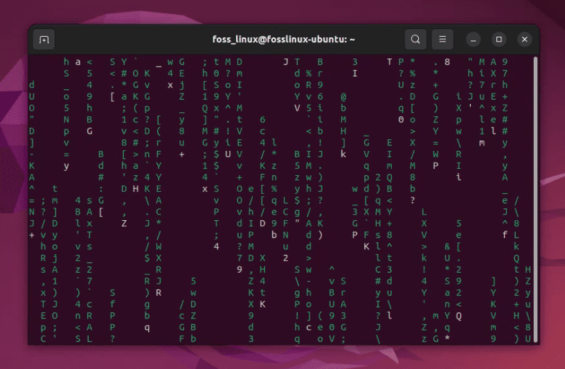 displaying matrix on ubuntu terminal