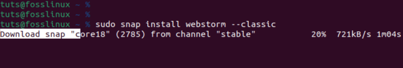install webstorm