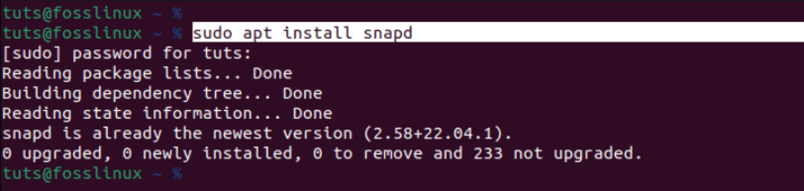 install snapd daemon