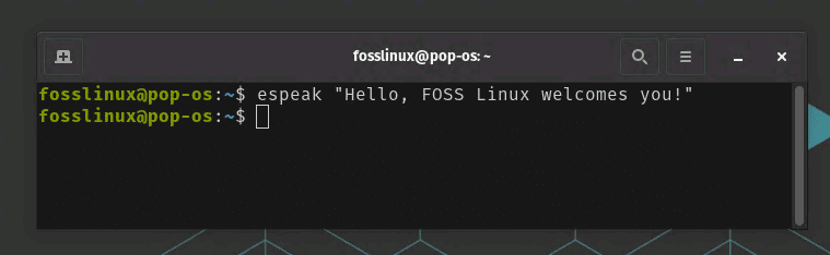 making terminal speak