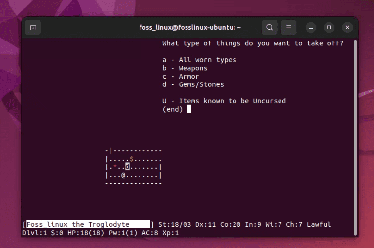 playing nethack on ubuntu