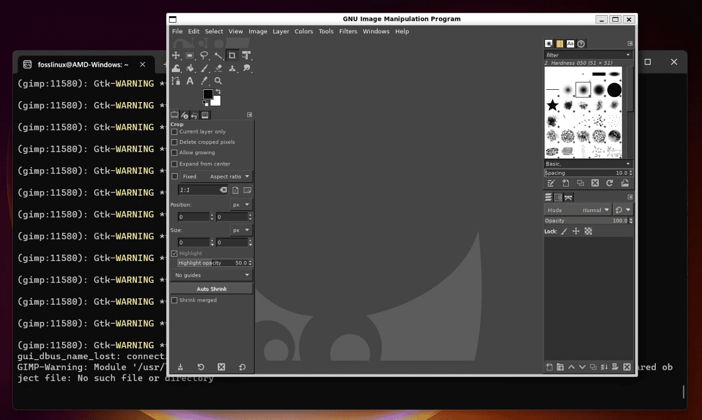 running gimp from ubuntu on windows 11