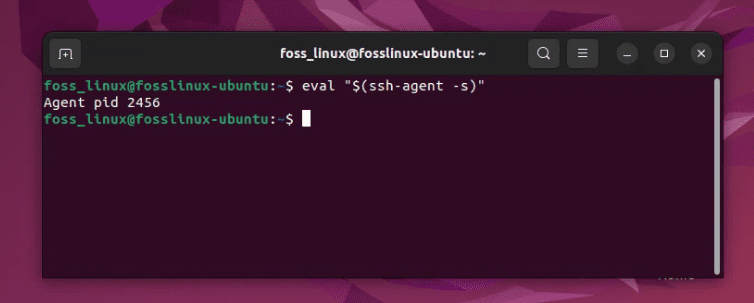 starting ssh agent