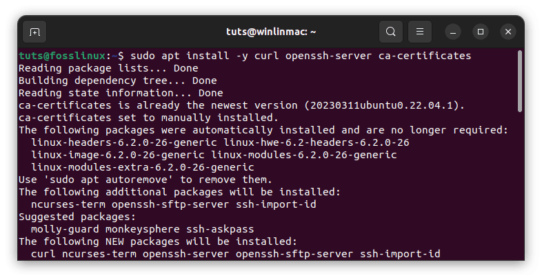 install essential utilities