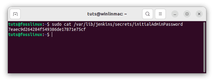 unlock jenkins