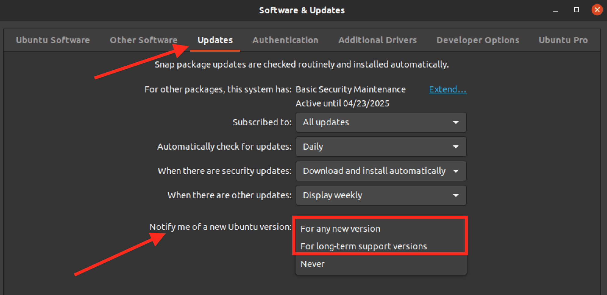 choose update option