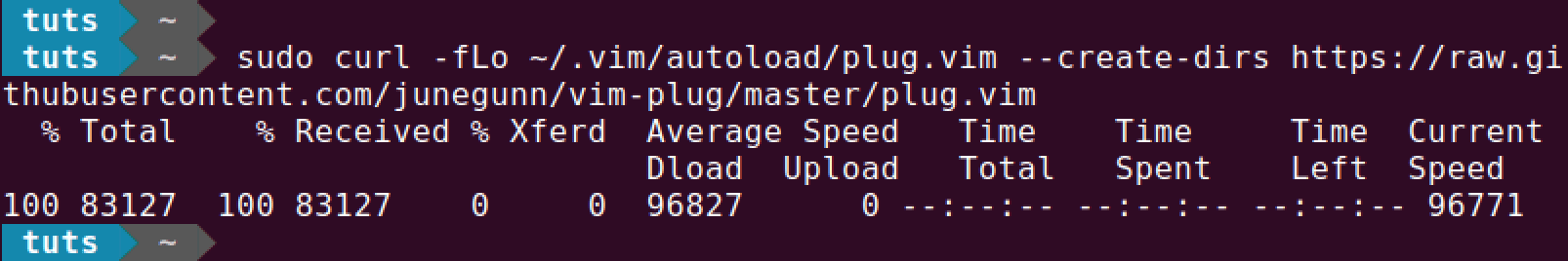 install vim plug