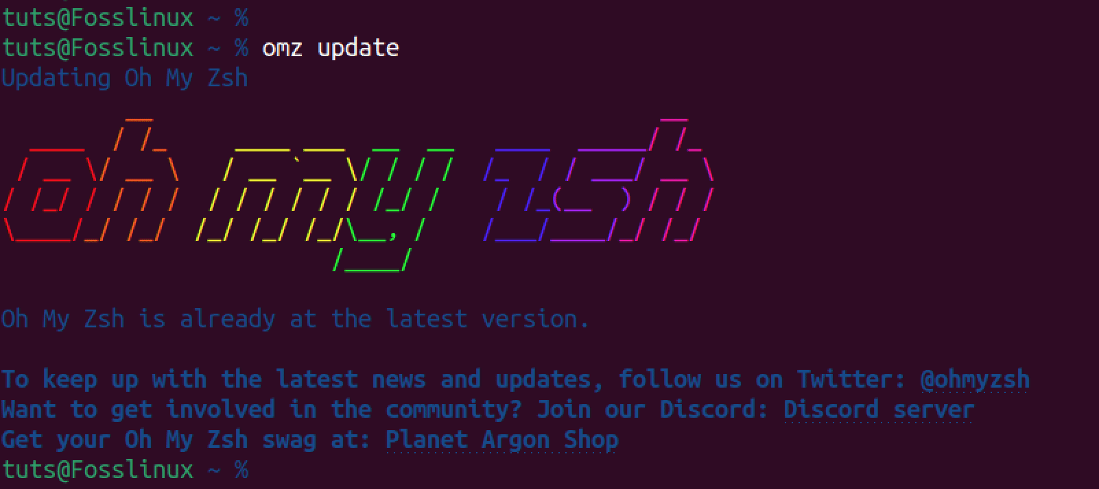 manually update oh my zsh