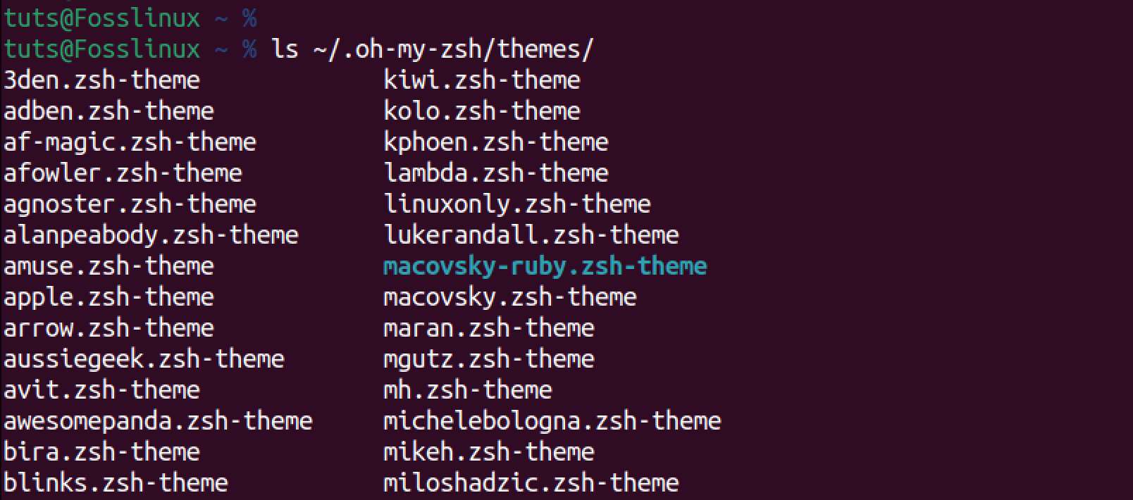 oh my zsh themes