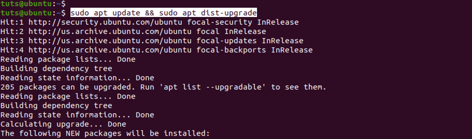 run dist upgrade command