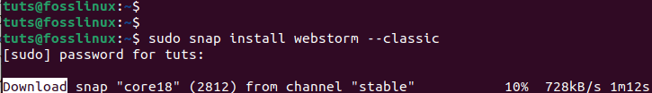 install webstorm