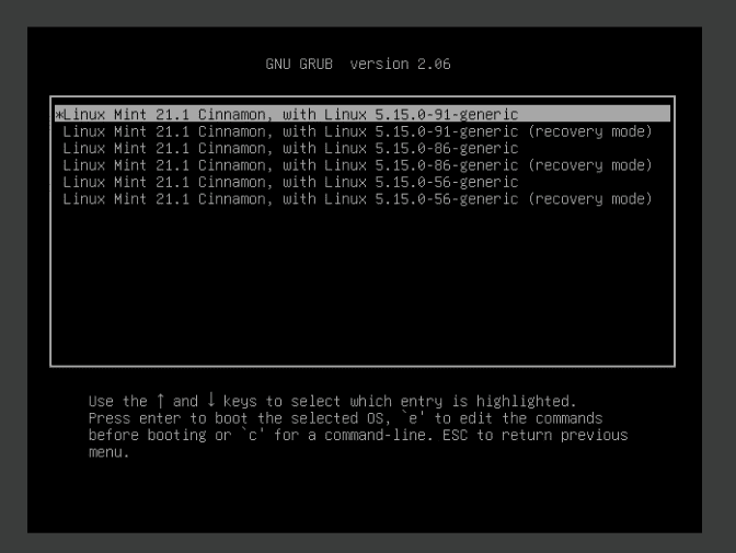 linux mint advanced options showing kernel versions