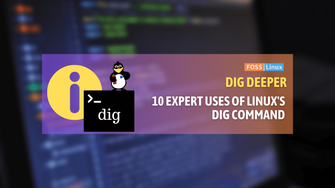dig command Linux dig command linux